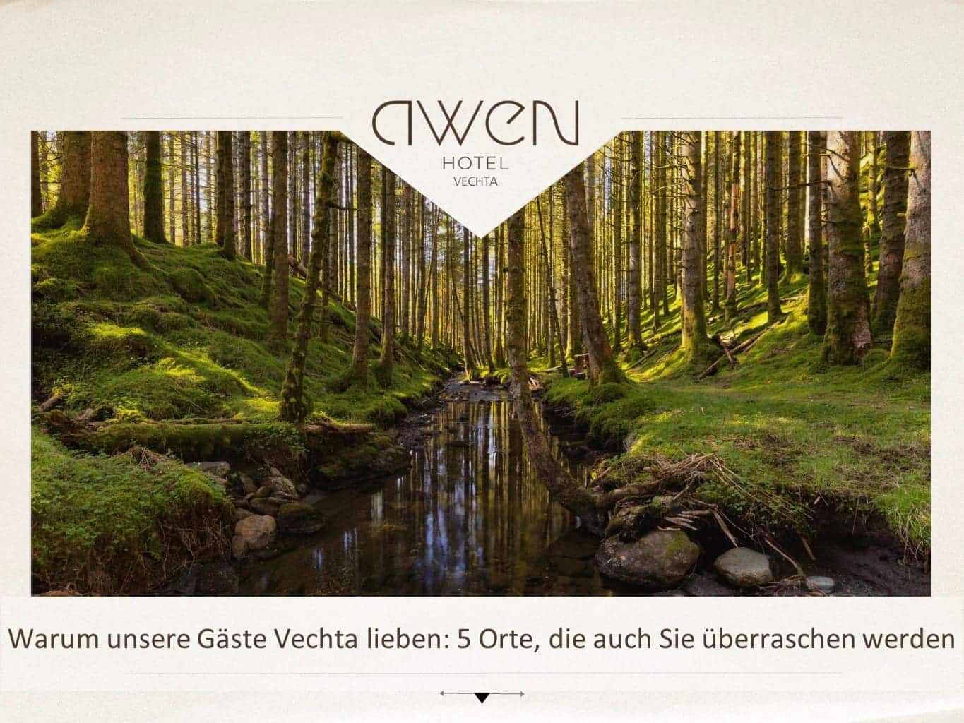 Warum Gäste Vechta lieben: 5 Orte, die überraschen