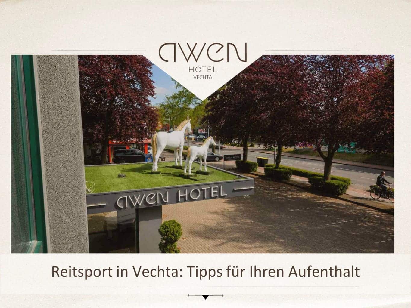 Reitsport in Vechta: Tipps für Ihren Aufenthalt