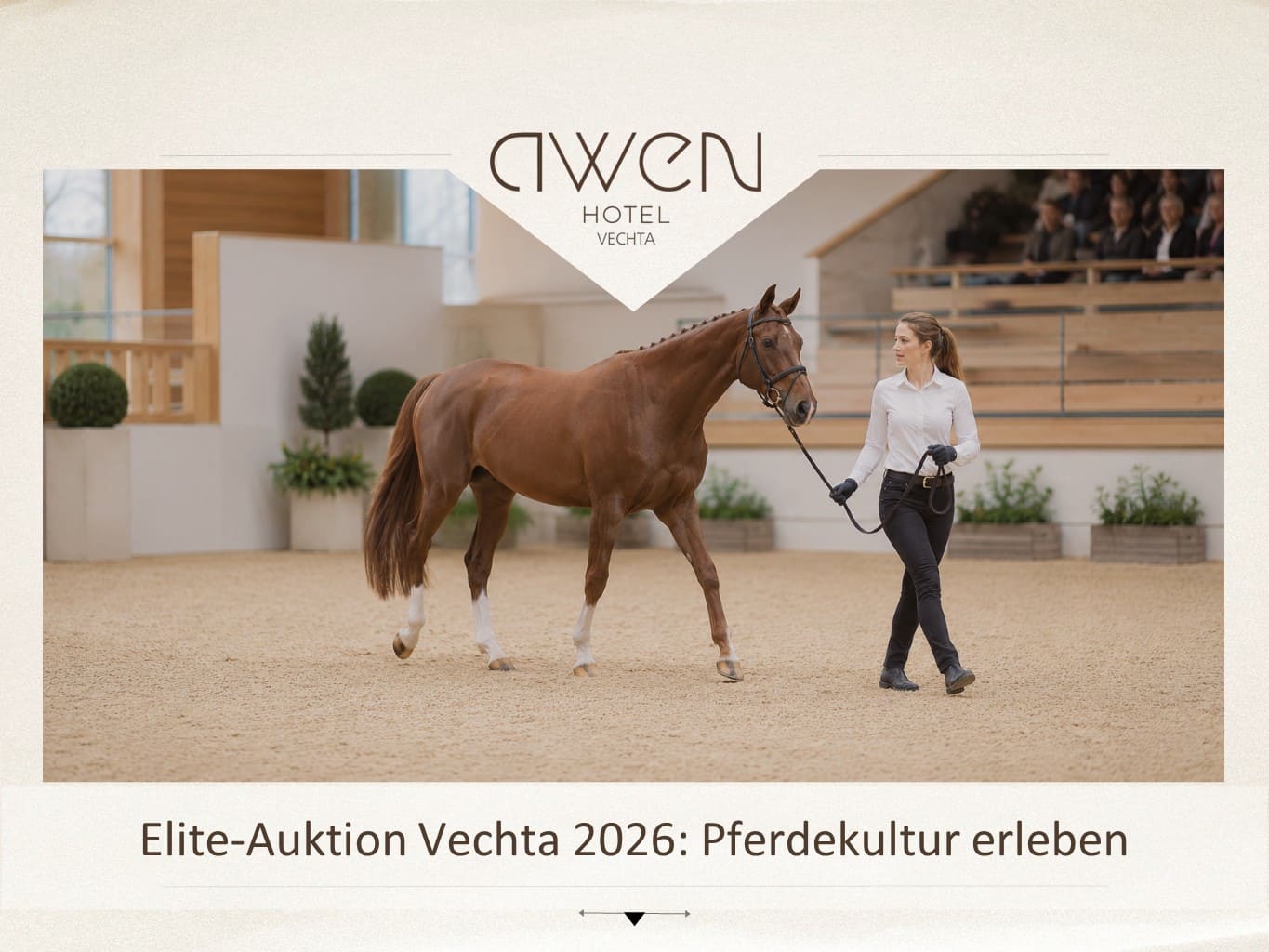 Elite-Auktion Vechta 2026: Pferdekultur erleben