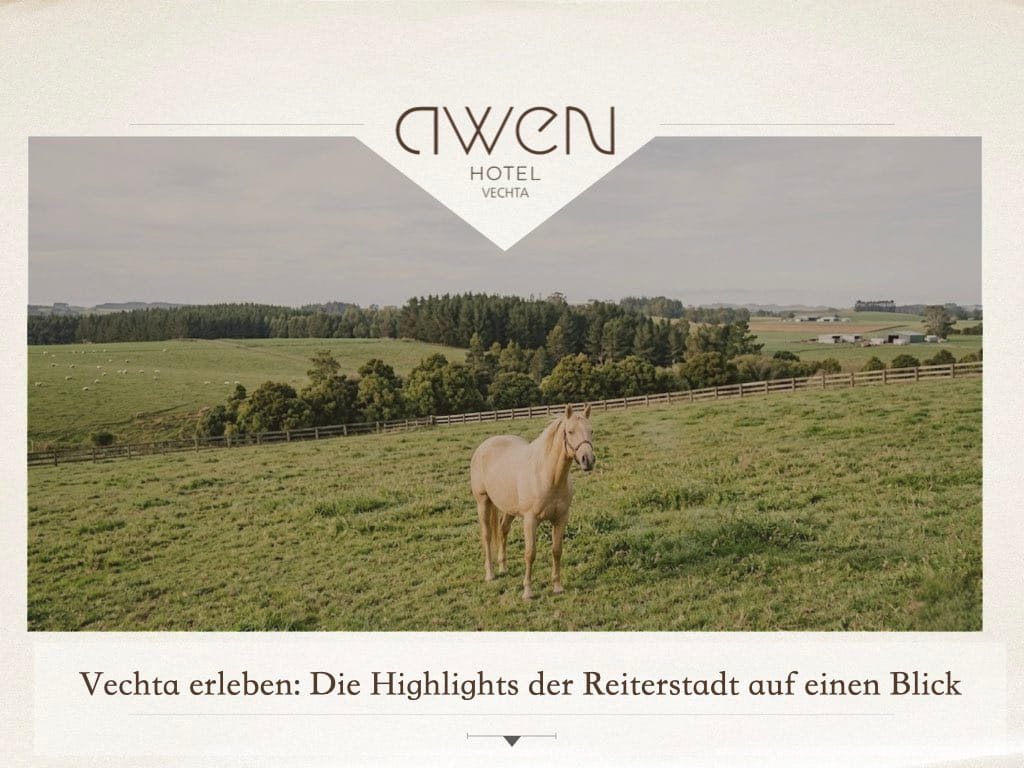 Awen Hotel Vechta und Highlights der Reiterstadt
