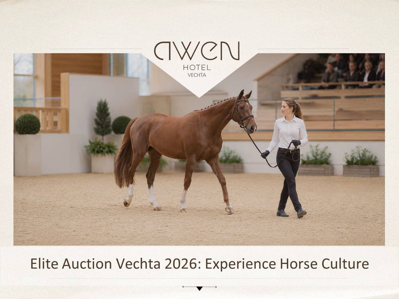 Elite Auction Vechta 2026: Experience Horse Culture