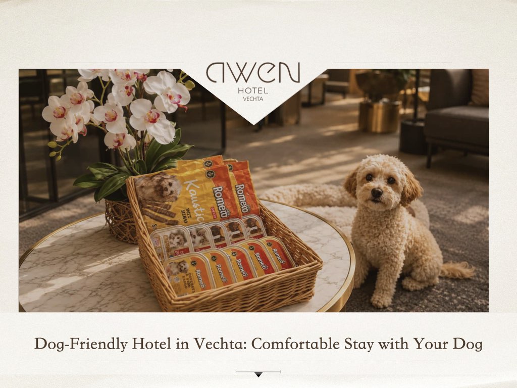 Dog-Friendly Hotel in Vechta: Comfortable Stay with Your Dog